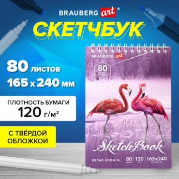 Скетчбук, белая бумага 120 г/м2 165х240 мм, 80 л., гребень, твердая обложка, BRAUBERG ART DEBUT, 112990